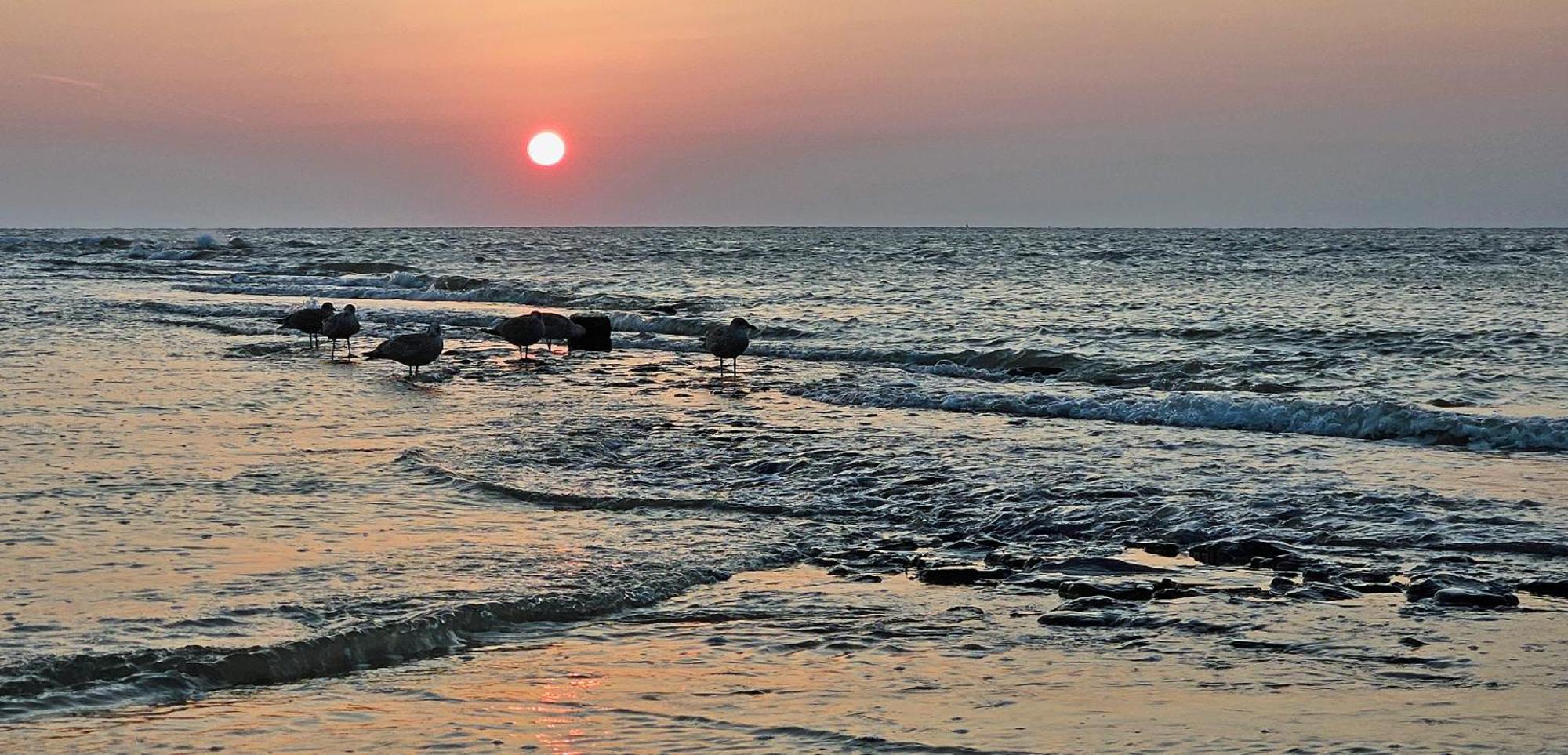 Zanddijk 113, Julianadorp Aan Zee 外观 照片